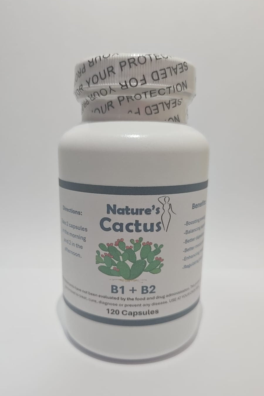 Nature's Cactus