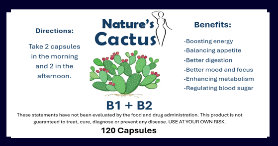 Nature's Cactus